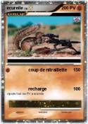 ecureile