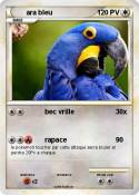 ara bleu