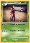 chat buzz sur
