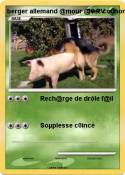 berger allemand