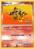 bowser bowser
