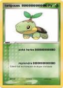 tortipouss