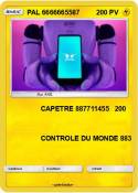 PAL 6666665587