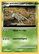 berger australien croisé qui @ime berger