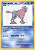 loup-caniche (