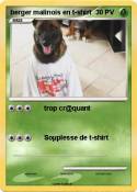 berger malinois en t-shirt berger malinois
