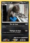 Sniper Cat