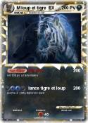 M loup et tigre