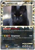 panthère noir