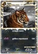 tigra