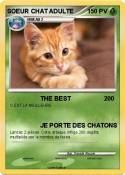 SOEUR CHAT