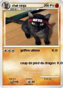 chat ninja