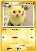 Chat pichu