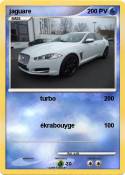 jaguare