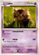 catwo
