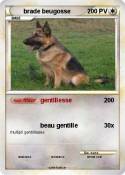brade beugosse brade beugosse