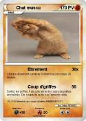 Chat muscu