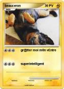beauceron beauceron