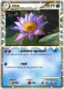 lotus