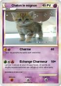 Chaton le mignon Chaton le