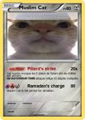 Muslim Cat