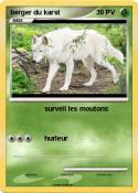 berger du karst berger du karst