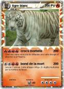 tigre blanc