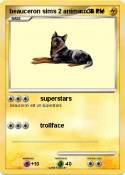 beauceron sims