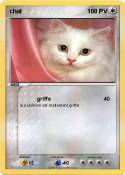 chat
