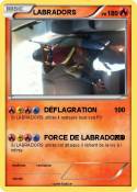 LABRADORS