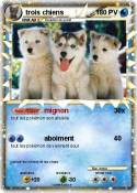 trois chiens