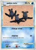 petites tortu