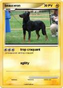 beauceron beauceron