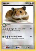 hamster