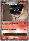 dog life