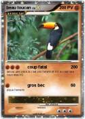 beau toucan