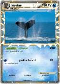 baleine