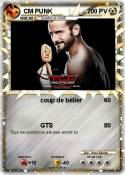 CM PUNK