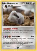 Baby Albatross