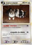 bouli et