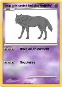 loup gris