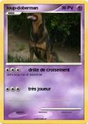 loup-doberman loup-doberman