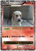 FIFILLE