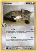 chatonnait