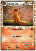 Etoile de Feu