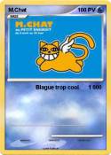 M.Chat