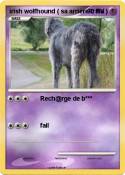 irish wolfhound