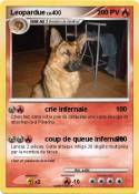 Leopardue
