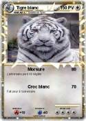 Tigre blanc
