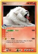 lion lion